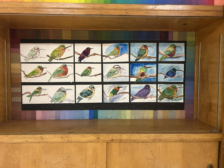 birds