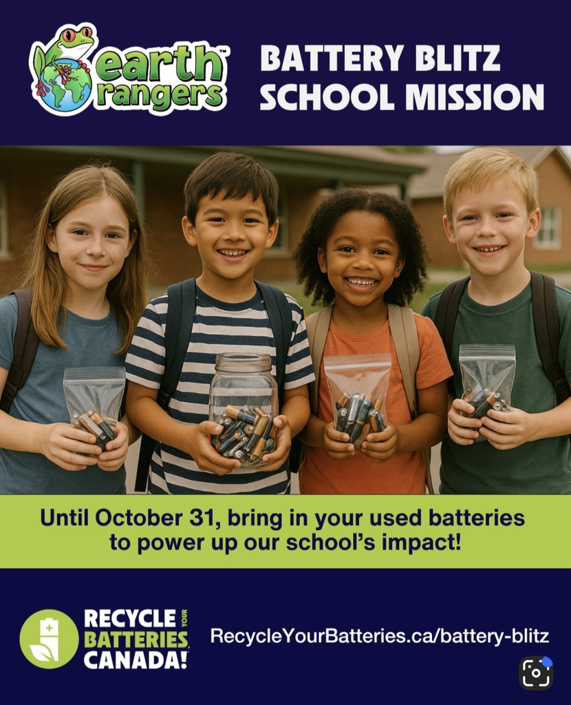 Errol Village Battery Blitz