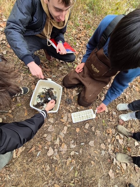 SHSM - Lorne Henderson Conservation Area