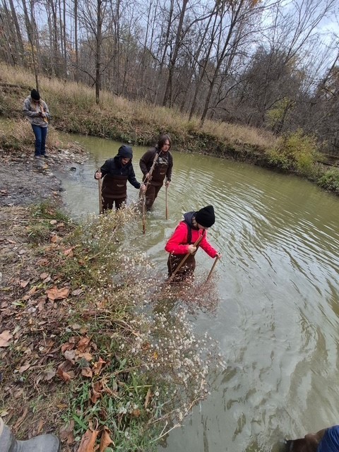 SHSM - Lorne Henderson Conservation Area