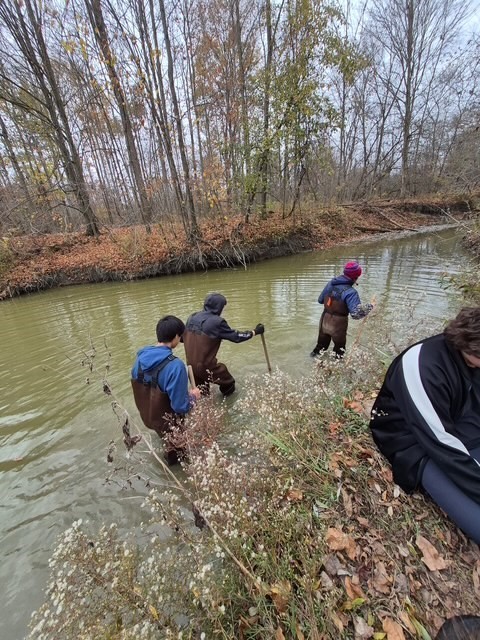 SHSM - Lorne Henderson Conservation Area
