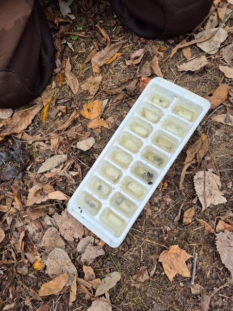 SHSM - Lorne Henderson Conservation Area