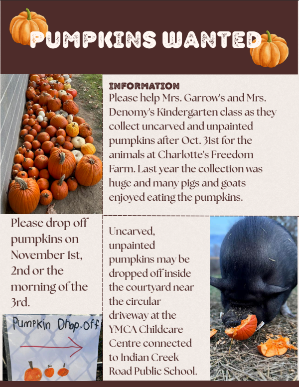 Pumpkins Wanted