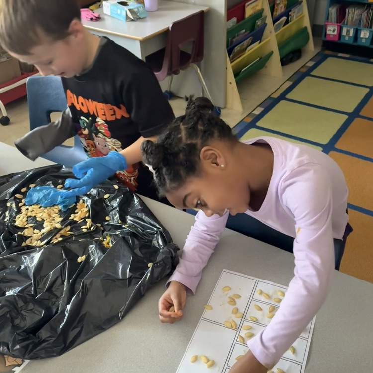 Fall pumpkin hands-on math exploration