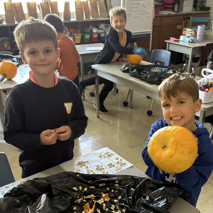 Fall pumpkin hands-on math exploration
