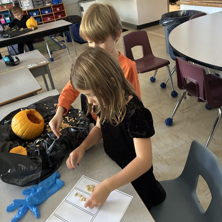 Fall pumpkin hands-on math exploration