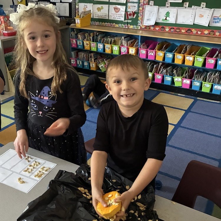 Fall pumpkin hands-on math exploration