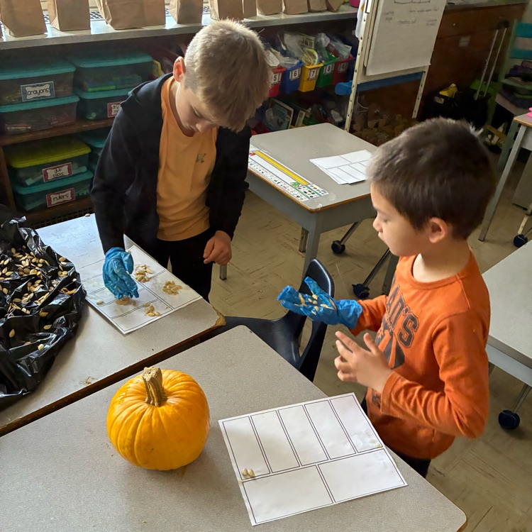 Fall pumpkin hands-on math exploration