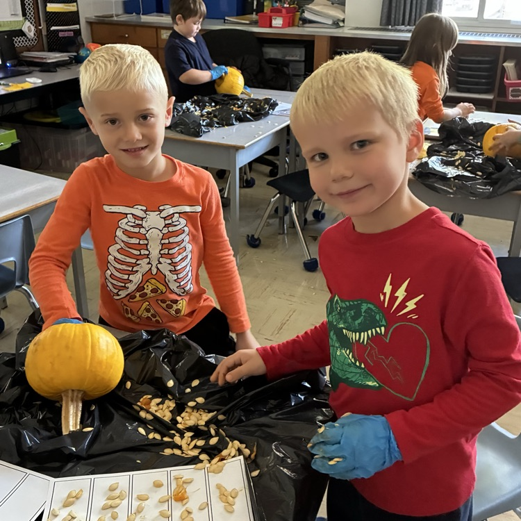 Fall pumpkin hands-on math exploration