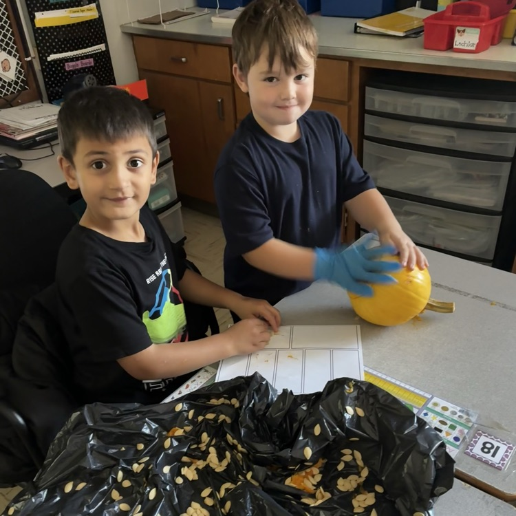 Fall pumpkin hands-on math exploration