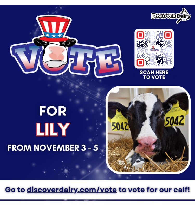 Adopt a cow voting