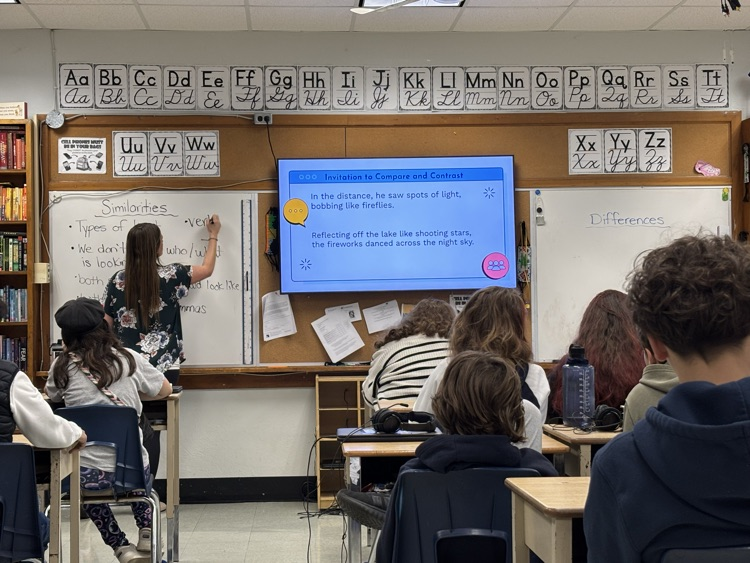 picking out the similarities 