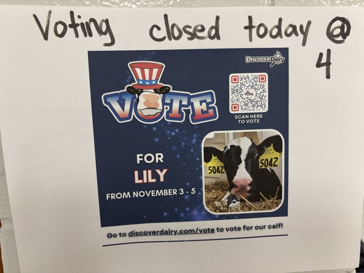 vote for Lily 