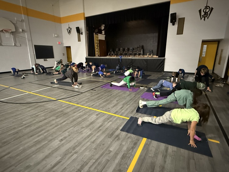 a group of students doing yoga in the gym