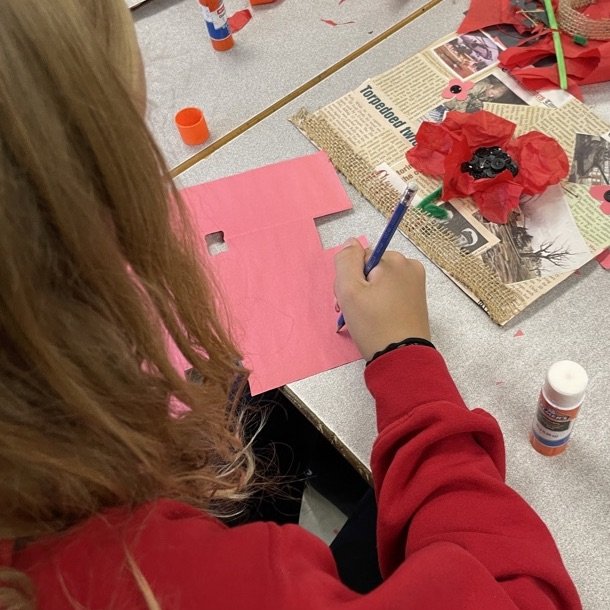 The power of the poppy