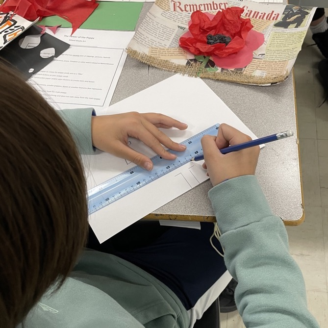 The power of the poppy 