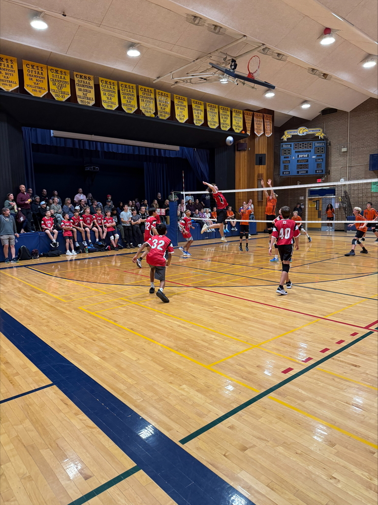 Elementary Volleyball Tournament