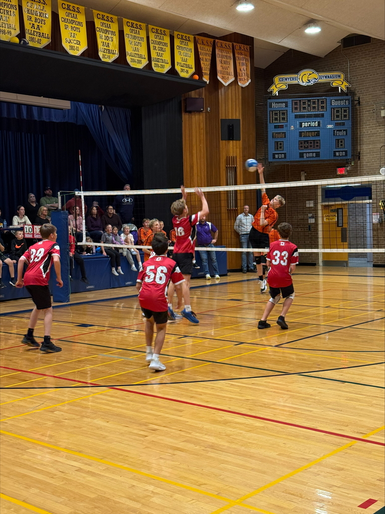 Elementary Volleyball Tournament