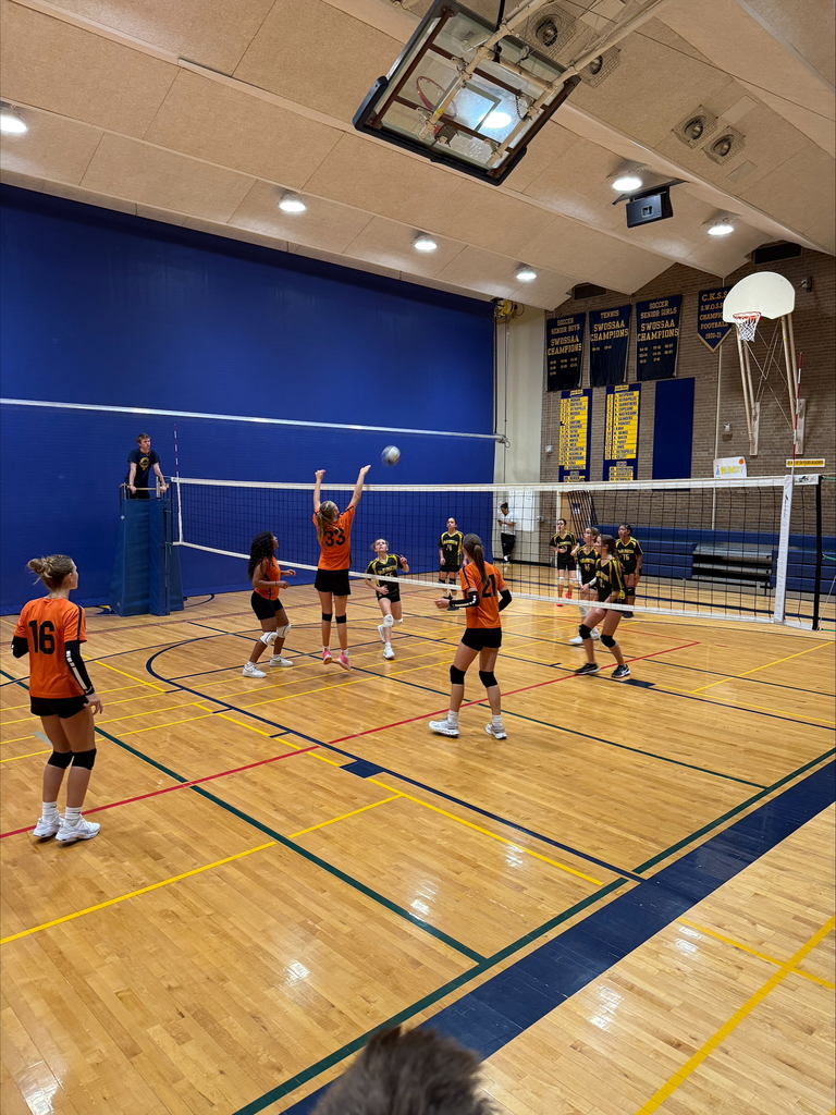 Elementary Volleyball Tournament