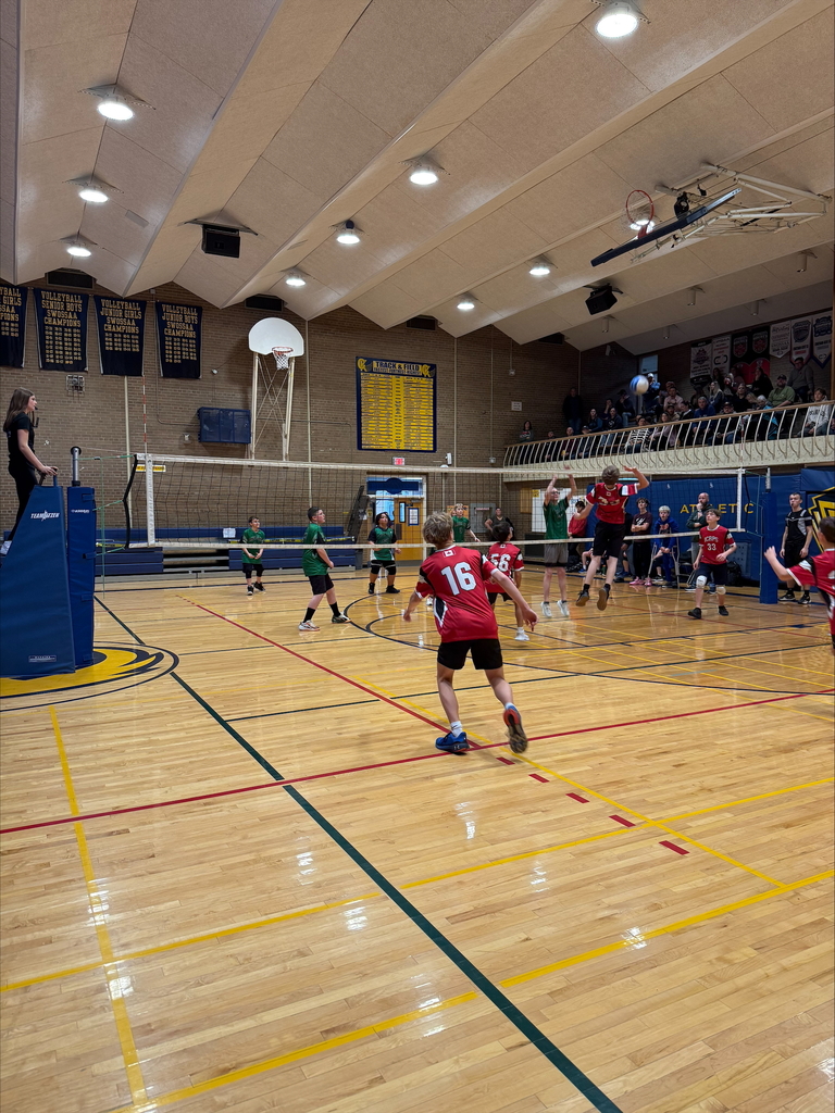 Elementary Volleyball Tournament