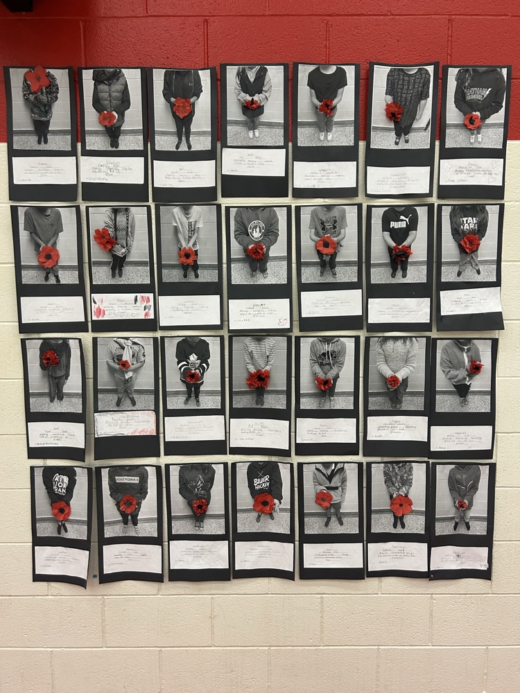 3dimensional poppies in student hands