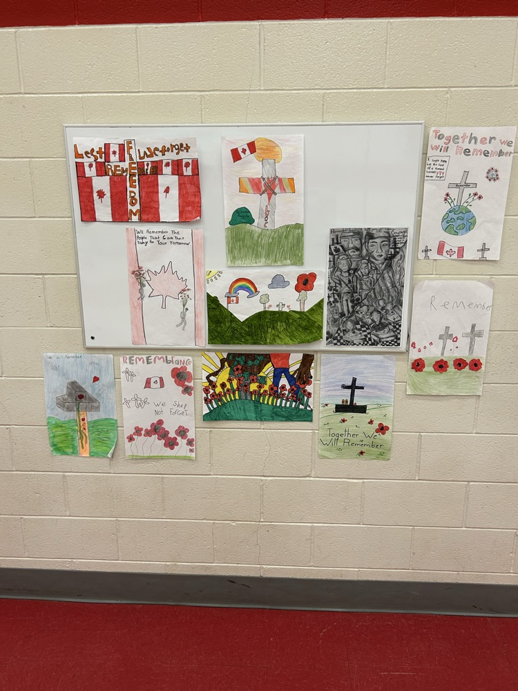posters created by Grade 5/6 class