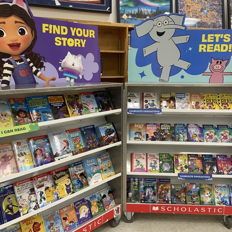 Book Fair Picture Books Display