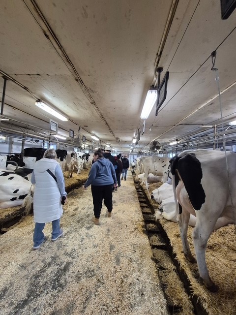 CK Careers Day in Ridgetown