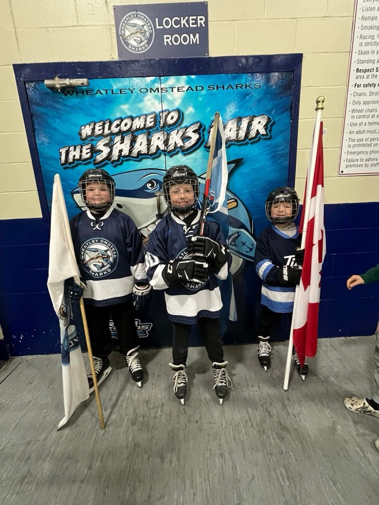 Three student flag bears wearing hockey skates during the hockey game