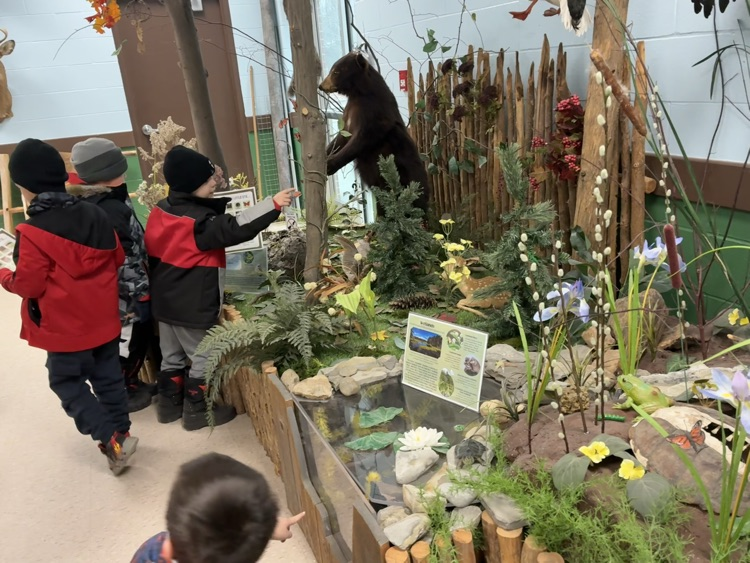 CM Wilson Conservation 