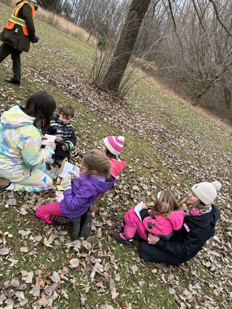 Drawing what they hear in nature 
