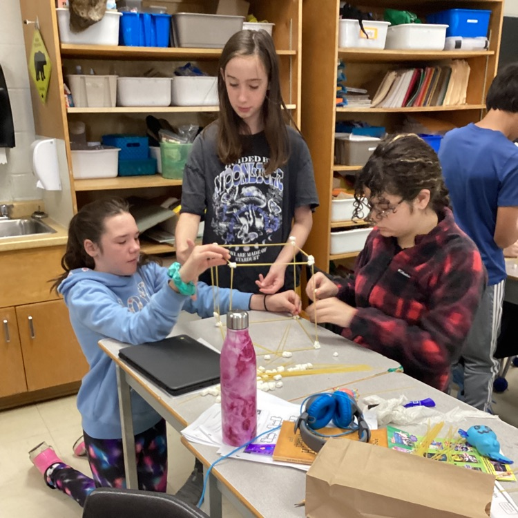 Grade 7/8 STEM Challenge