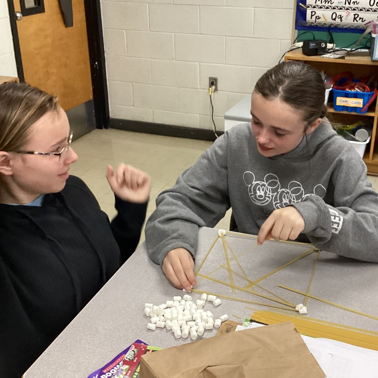 Grade 7/8 STEM Challenge