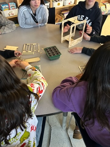 students building mini greenhouses 