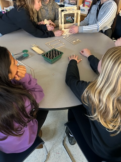 students building mini greenhouses 