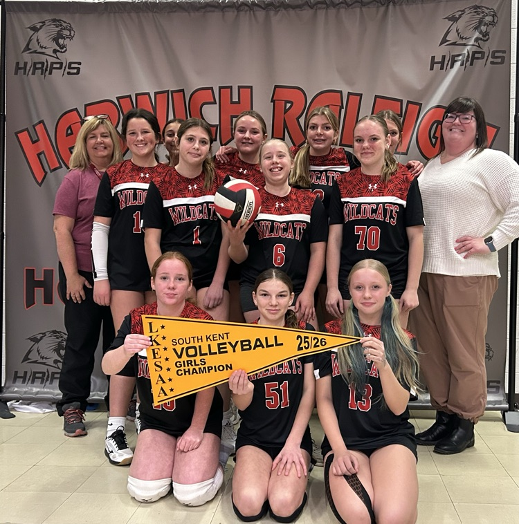 senior girls volleyball team