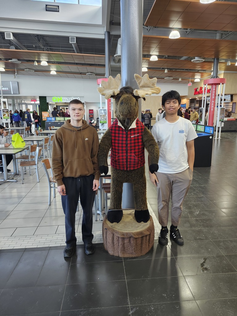 Meeting a Moose