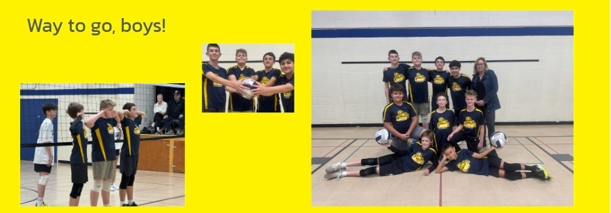 Boys Volleyball team in action and group photo