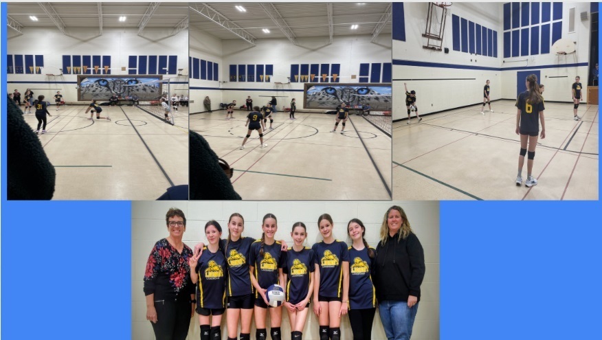 Girls Volleyball team pictures in action and group photo