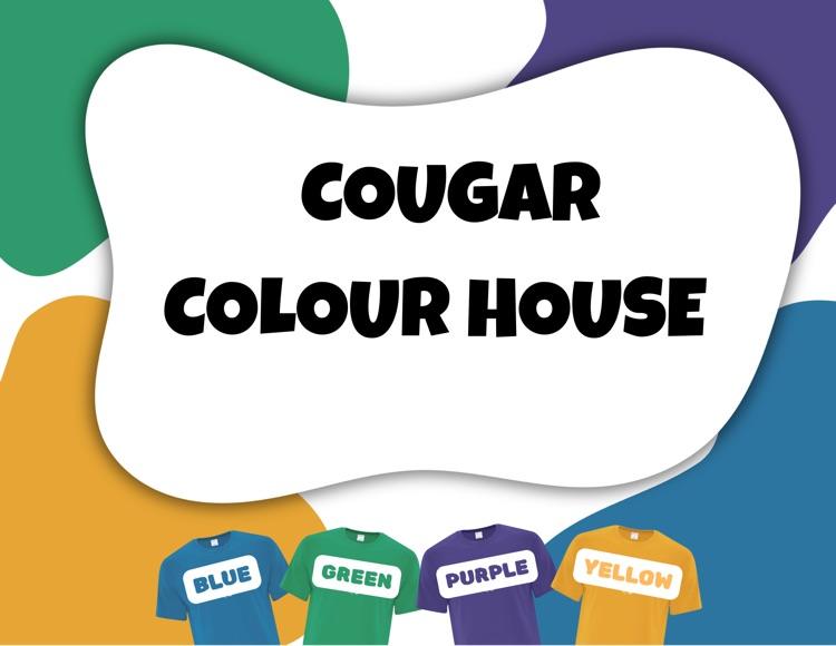 colour house shirts