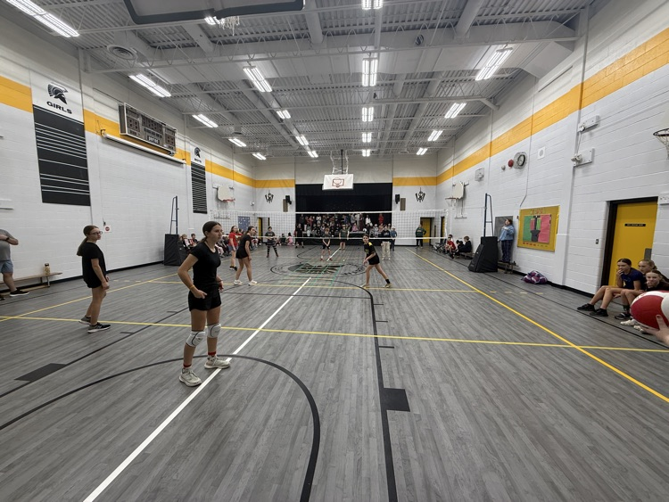 A group of students playing volleyball