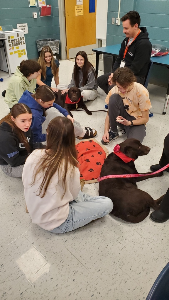 Therapy Dogs