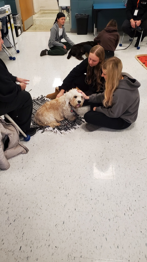 Therapy Dogs