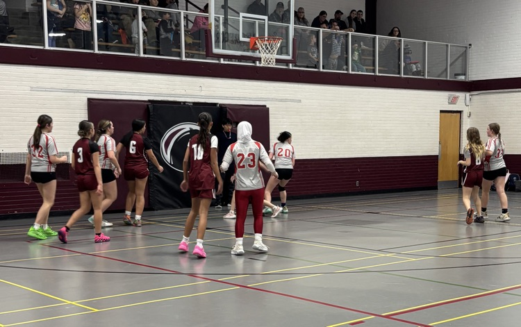 girls playing basketball