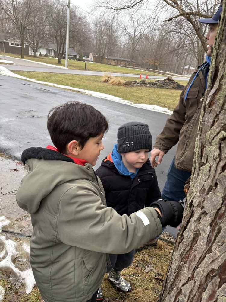 two boys getting ready to tap a maple tree