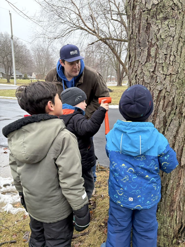 a group of boys watching a tree tapping