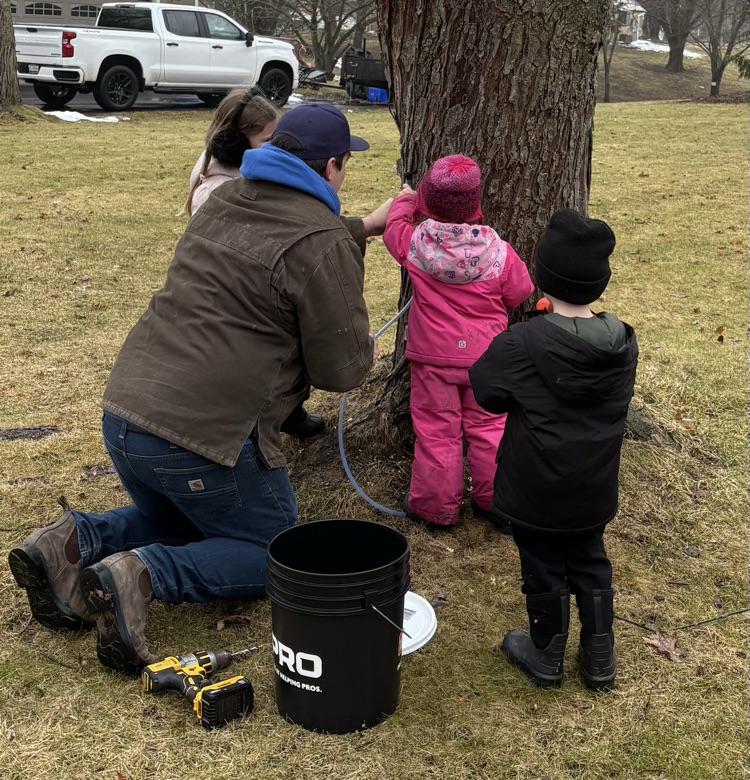 tree tapping with a group of young students