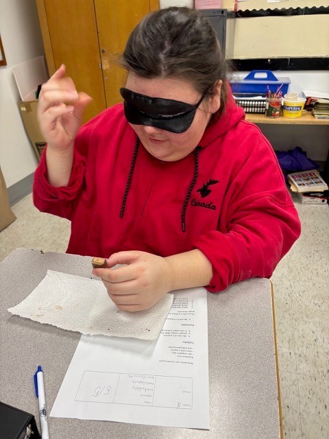 Descriptive Writing and the Mystery Chocolate Bar