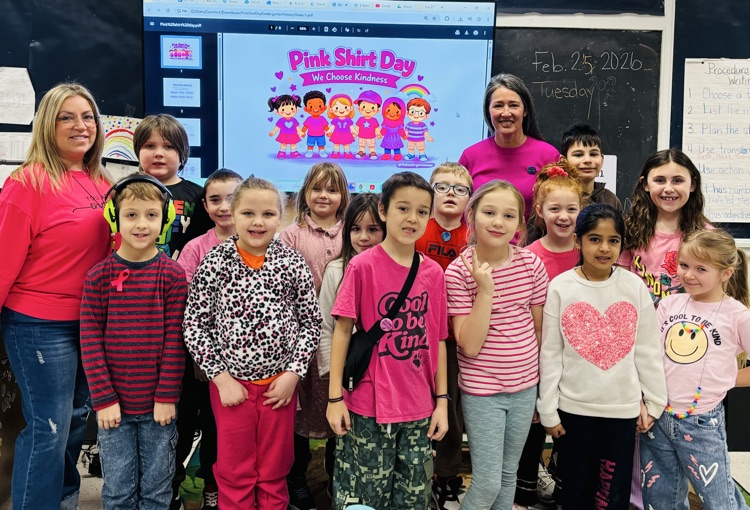 a class showing their support for pink shirt day