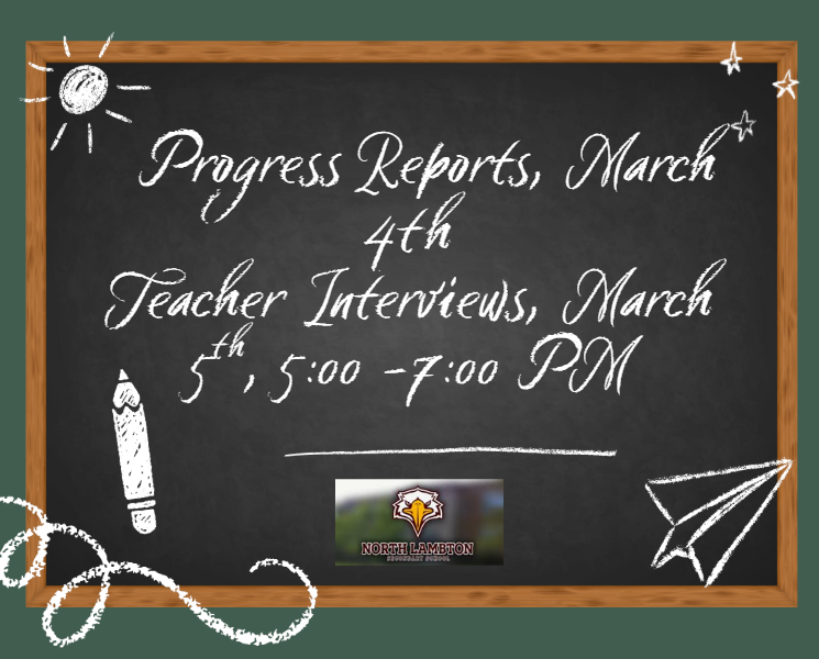 Progress Reports and Teacher Interviews
